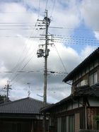 電柱にカラスの巣