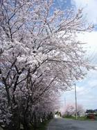 町民グラウンドも